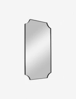 Ryleigh Mirror -Famous Decoration Store 09709 A1 ANGLE