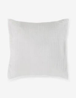 Darcy Sham -Famous Decoration Store 103 V250172 1 900x 970903c3 c99b 4702 87ef bab414d48bfb