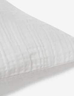 Darcy Sham -Famous Decoration Store 103 V250172 3 900x c2dc3a83 0488 4d19 b802 be787c8379f4