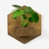 Larayne Hexagon Wall Planter