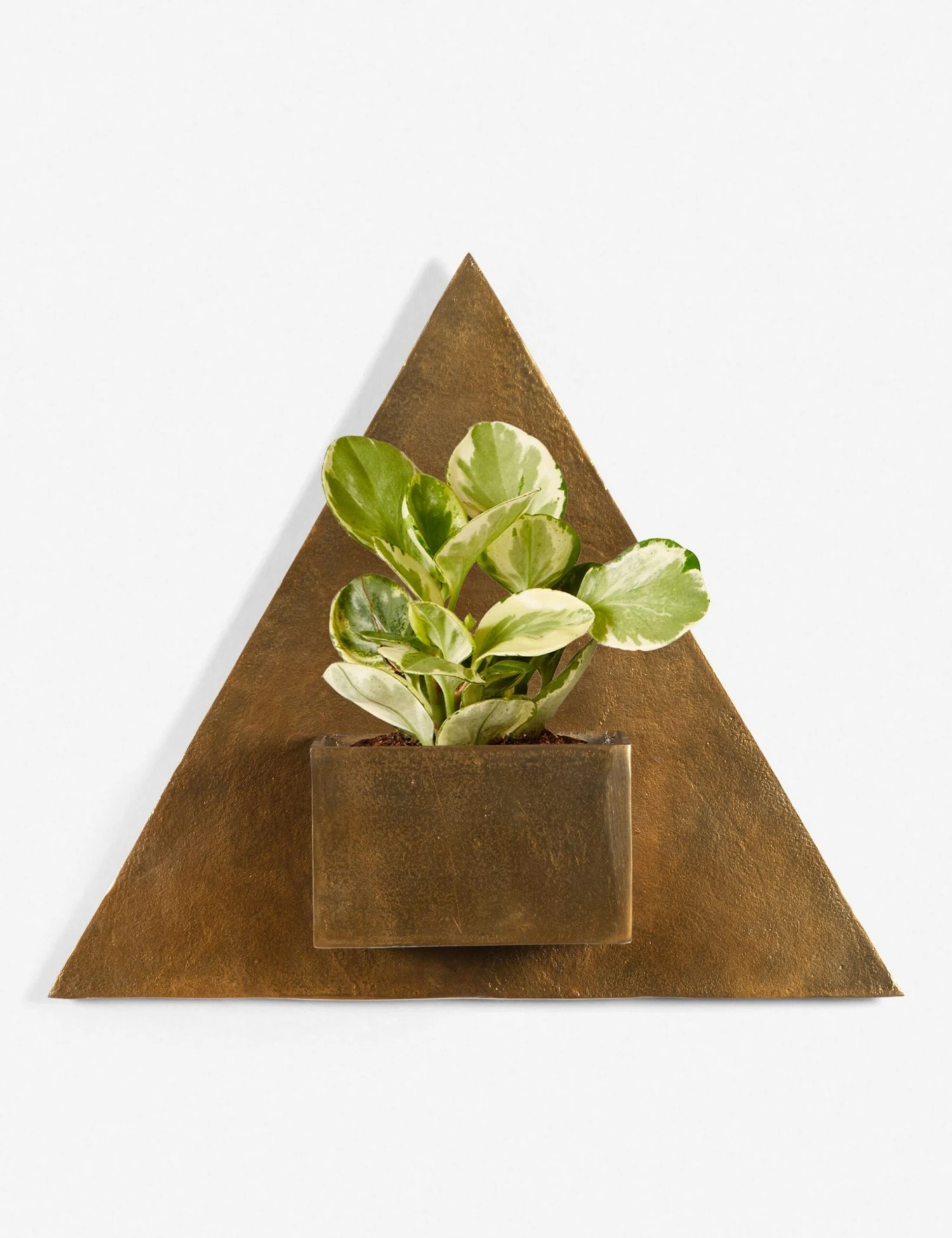 Larayne Triangle Wall Planter 1 Larayne Triangle Wall Planter
