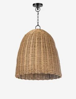 Coastal Living Beehive Outdoor Pendant Light By Regina Andrew