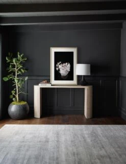 Nambi: Pose II, WOVEN Series Photography Print By Ashley Johnson 13 Nambi: Pose II, WOVEN Series Photography Print By Ashley Johnson -Famous Decoration Store 20210526 ConsoleArtVignette 7204 NOART