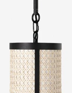 Levan Pendant Light -Famous Decoration Store 223657 003 DET 1