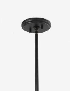 Levan Pendant Light -Famous Decoration Store 223657 003 DET 4