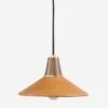 Doherty Pendant Light