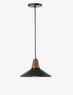 Doherty Pendant Light -Famous Decoration Store 226298 002 PRM 1