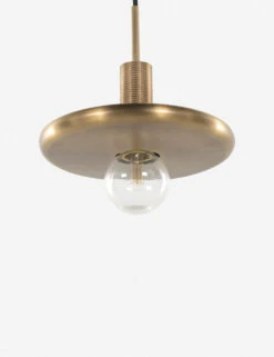 Keaton Pendant Light -Famous Decoration Store 226314 001 DET 1