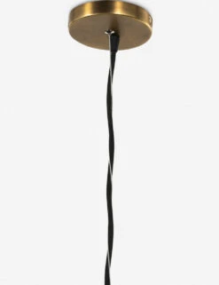 Keaton Pendant Light -Famous Decoration Store 226314 001 DET 3