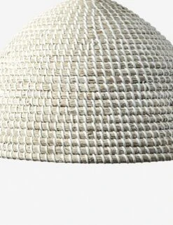 Raiatea Pendant Light -Famous Decoration Store 229313 002 DET 1