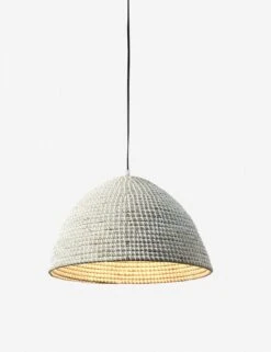 Raiatea Pendant Light -Famous Decoration Store 229313 002 PRM 1