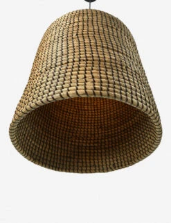 Analia Pendant Light -Famous Decoration Store 229315 001 DET 2