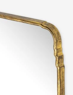 Teresa Full Length Mirror 7 Teresa Full Length Mirror -Famous Decoration Store 234804 001 DET 1