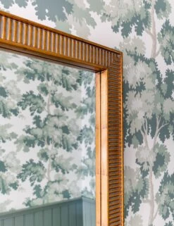 Abbott Mirror By Erin Gates -Famous Decoration Store 42222 EG 2