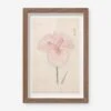 Vintage Japanese Iris No. 16 Wall Art By Miyoshi Manabu