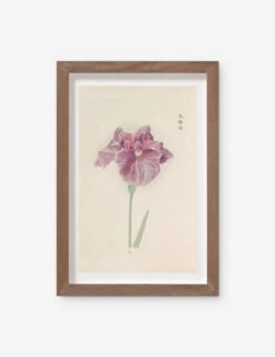 Vintage Japanese Iris No. 24 Wall Art By Miyoshi Manabu