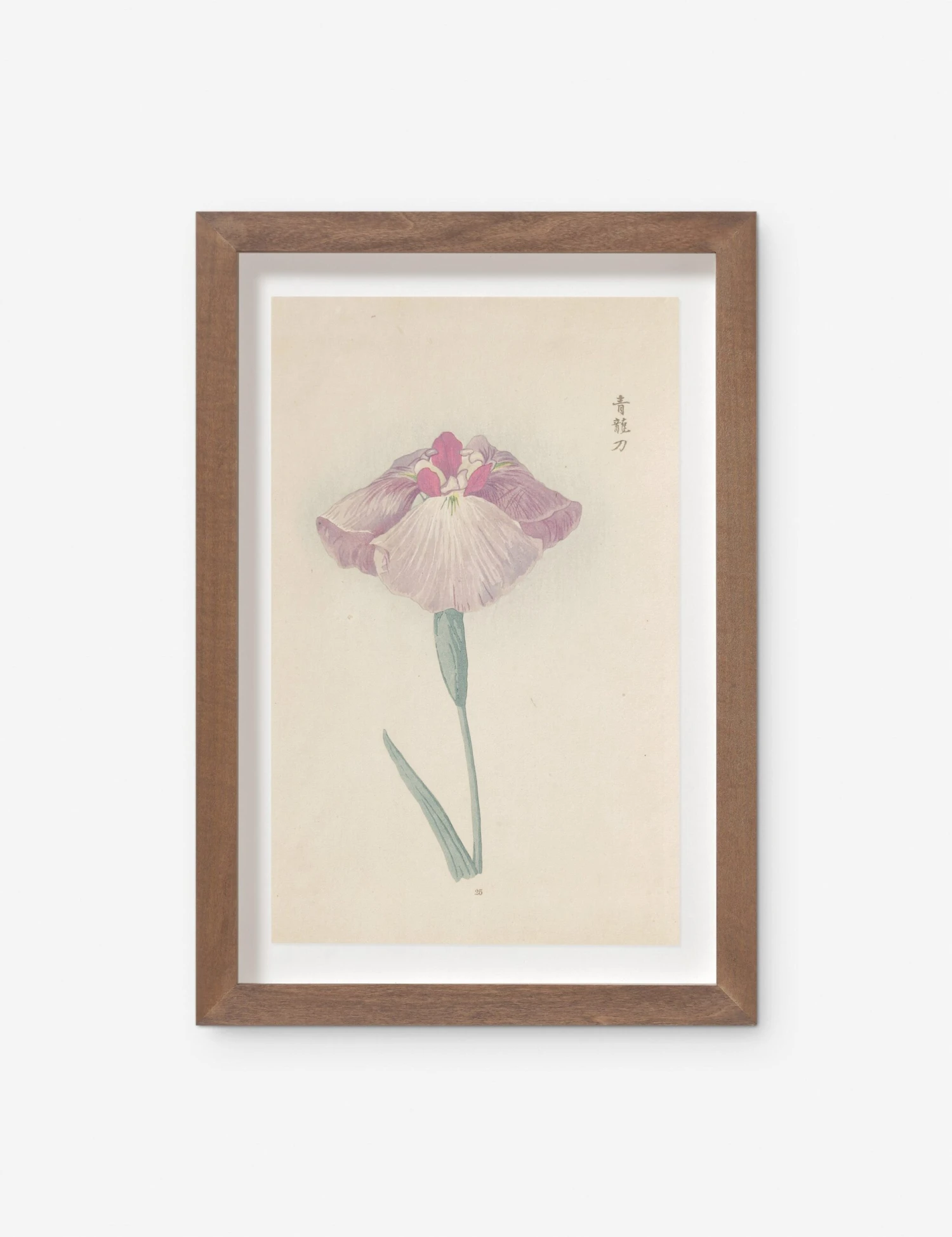 Vintage Japanese Iris No. 25 Wall Art By Miyoshi Manabu 1 Vintage Japanese Iris No. 25 Wall Art By Miyoshi Manabu