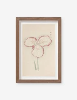 Vintage Japanese Iris No. 30 Wall Art By Miyoshi Manabu