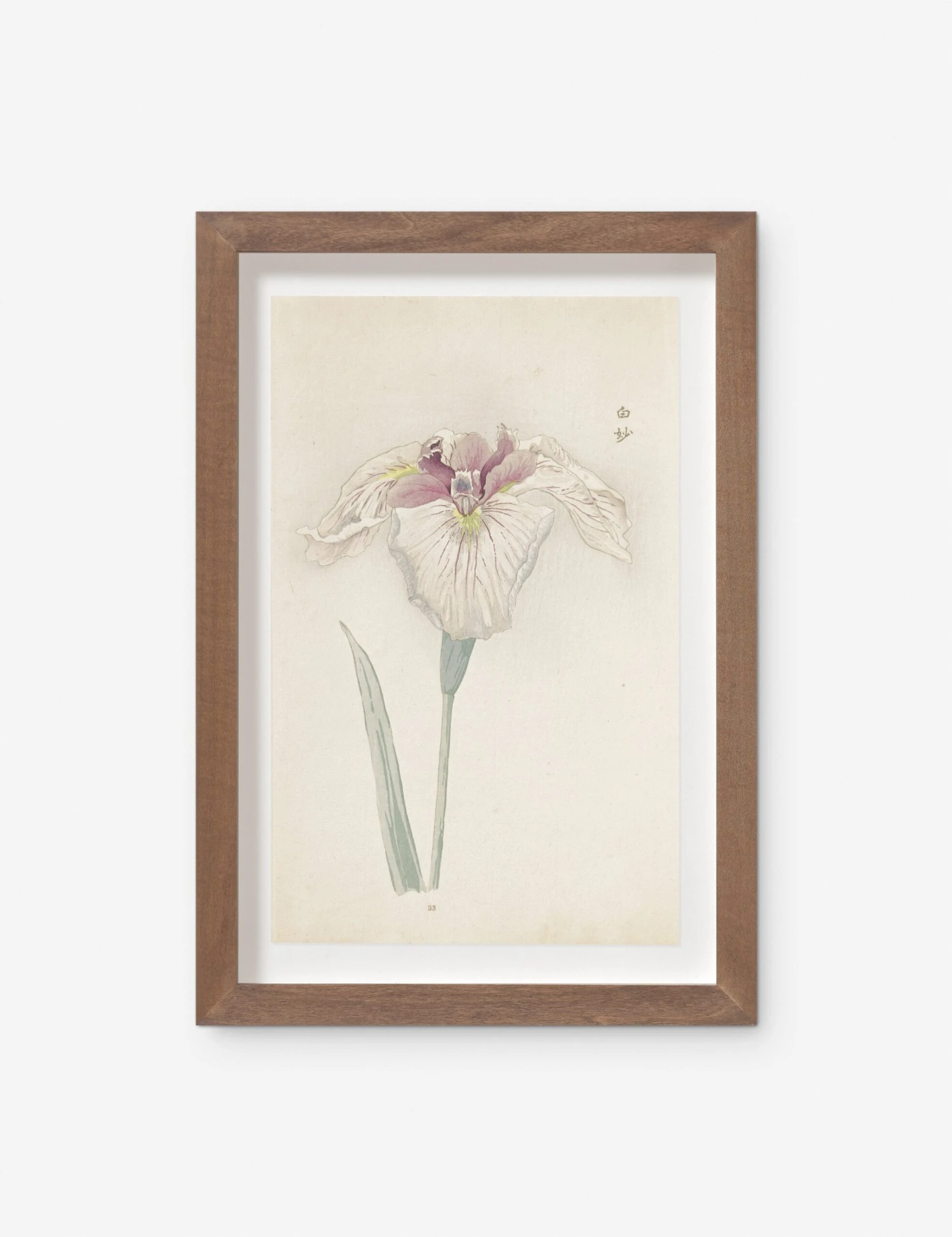 Vintage Japanese Iris No. 33 Wall Art By Miyoshi Manabu 1 Vintage Japanese Iris No. 33 Wall Art By Miyoshi Manabu