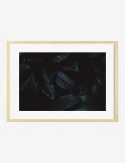 Still Life 3 Photography Print By Ashley Johnson -Famous Decoration Store AshleyJohnsonStillLIfePack7 3naturalframe