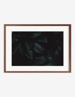 Still Life 3 Photography Print By Ashley Johnson -Famous Decoration Store AshleyJohnsonStillLIfePack7 3walnutframe