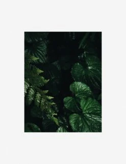 Still Life 14 Photography Print By Ashley Johnson -Famous Decoration Store AshleyJohnsonStillLifePack7 14unframed