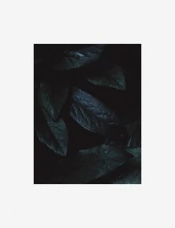 Still Life 3 Photography Print By Ashley Johnson -Famous Decoration Store AshleyJohnsonStillLifePack7 3unframed