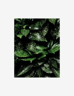 Still Life 7 Photography Print By Ashley Johnson -Famous Decoration Store AshleyJohnsonStillLifePack7 7unframed