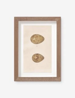 Vintage Bird Watercolor No. 312 Wall Art By Visual Contrast