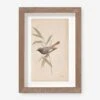 Vintage Bird Watercolor No. 60 Wall Art By Visual Contrast