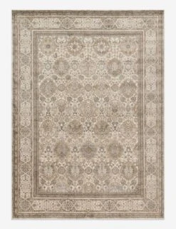 Danton Rug