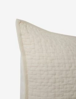 Clemence Sham -Famous Decoration Store ClemenceSham Bone Euro L0466346 105