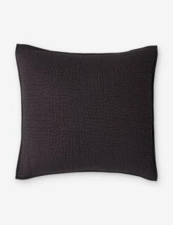 Clemence Sham -Famous Decoration Store ClemenceSham Charcoal Euro L0466349 105