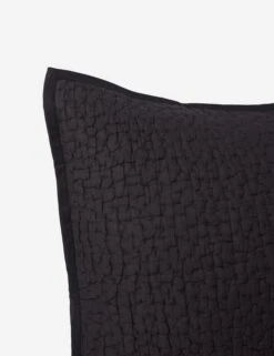 Clemence Sham -Famous Decoration Store ClemenceSham Charcoal Euro L0466349 108