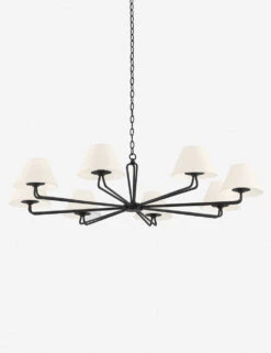 Hayden Chandelier 9 Hayden Chandelier -Famous Decoration Store F2550 BI