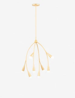 Elsa Chandelier By Eny Lee Parker X Mitzi 5 Elsa Chandelier By Eny Lee Parker X Mitzi -Famous Decoration Store H689708 GL