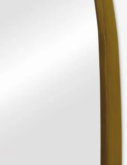 Idris Full Length Mirror -Famous Decoration Store IdrisMirror Gold FloorLength A0656683 036 Product