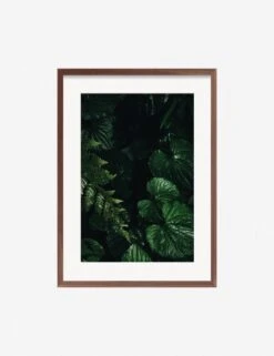 Still Life 14 Photography Print By Ashley Johnson -Famous Decoration Store JohnsonStillLIfepack7 14Walnutframe