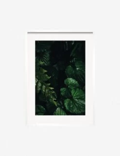 Still Life 14 Photography Print By Ashley Johnson -Famous Decoration Store JohnsonStillLIfepack7 14Whiteframe