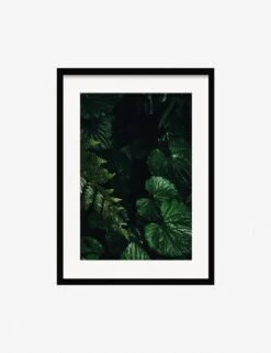 Still Life 14 Photography Print By Ashley Johnson