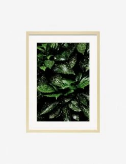 Still Life 7 Photography Print By Ashley Johnson -Famous Decoration Store JohnsonStillLifePack7 7naturalframe