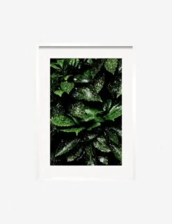 Still Life 7 Photography Print By Ashley Johnson -Famous Decoration Store JohnsonStillLifePack7 7whiteframe