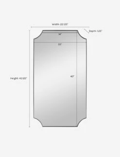 Ryleigh Mirror -Famous Decoration Store MIR 21672 09709 dims