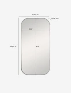 Dion Mirror -Famous Decoration Store MIR 21701 09719 dims