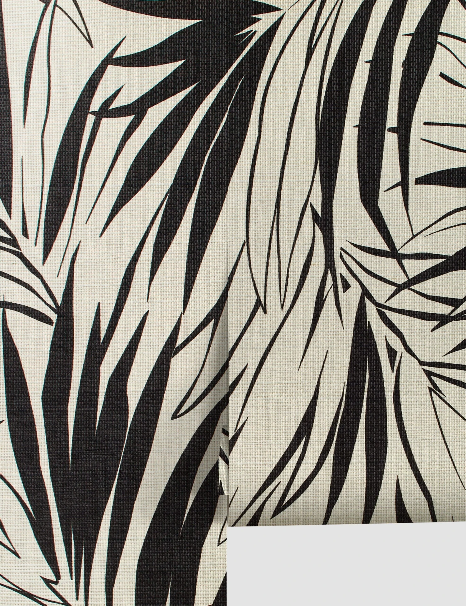 Majesty Palm Wallpaper 1 Majesty Palm Wallpaper