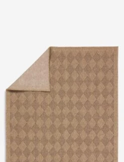 Adisa Indoor / Outdoor Rug -Famous Decoration Store NMB05 2