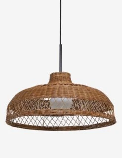 Ochoa Pendant Light -Famous Decoration Store OchoaPendantLight A0655694 0520 1
