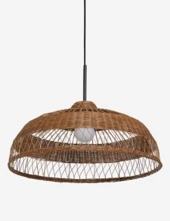 Ochoa Pendant Light -Famous Decoration Store OchoaPendantLight A0655695 0514 1