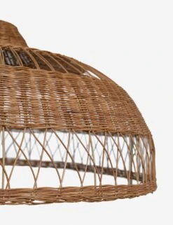 Ochoa Pendant Light -Famous Decoration Store OchoaPendantLight A0655695 0517