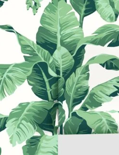 Pacifico Palm Peel + Stick Wallpaper By Nathan Turner